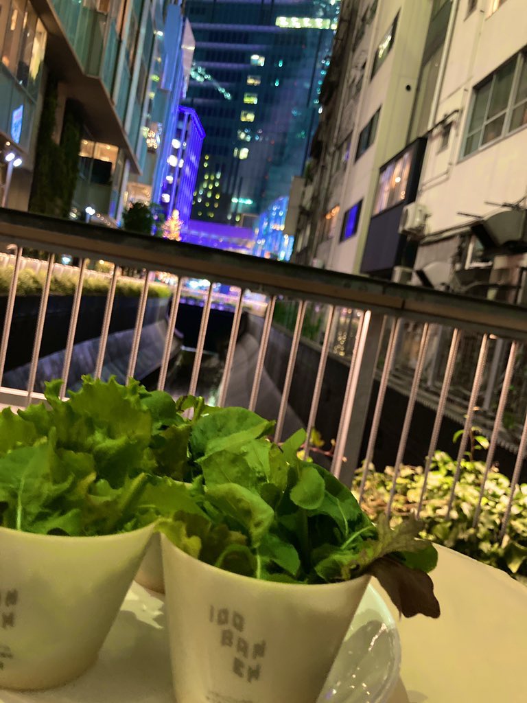 18:38くらいからNHKの生中継にちょろっと出ます。ほんとちょろっとだけど。100BANCH farmがイルミネーションでいい感じ。