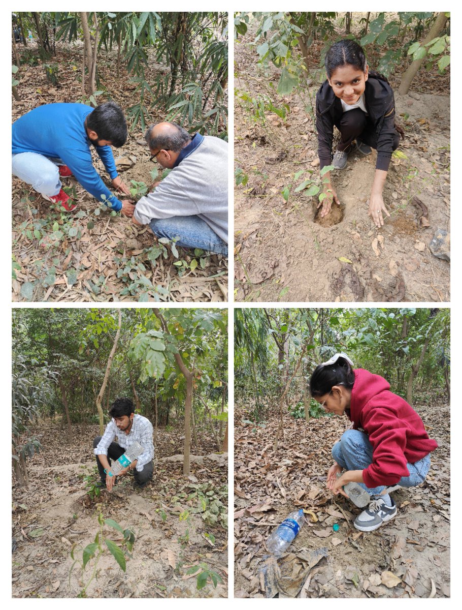 BhoomiSaksham's tweet photo. Exploring the wonders of nature and fostering growth – interns embark on a memorable forest site visit and contribute to a greener future through a small plantation drive. 🌿 #InternshipAdventure #GreenInitiative#NGO #CSR https://t.co/ulEGZetSa3