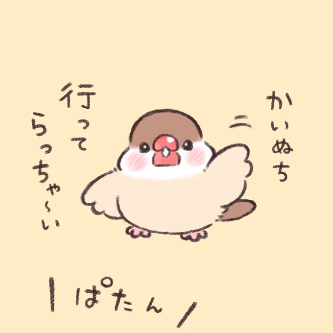 いいこで待ってる。  #文鳥