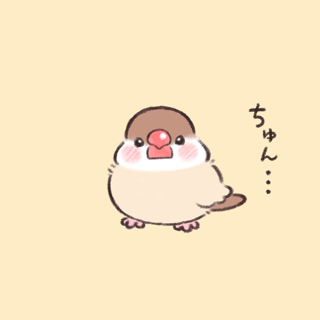 いいこで待ってる。  #文鳥