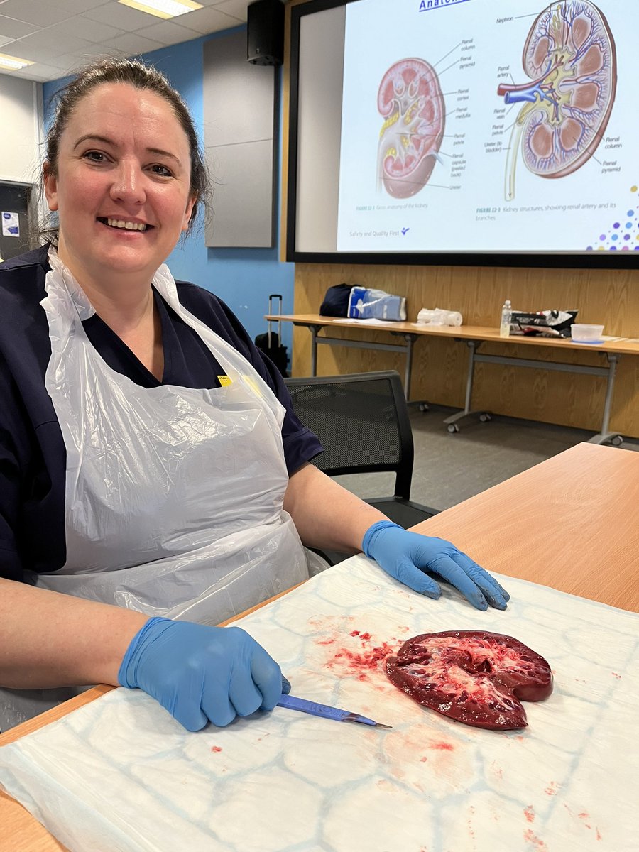 carlwalker1977's tweet photo. Great start to the clinical skills study day with my favourite topic presented brilliantly by expert @PPFJane. #education #teamrenal @SouthTees @RenalJCUH @jackharrys @STRIVEacademic https://t.co/u04Q71viEC
