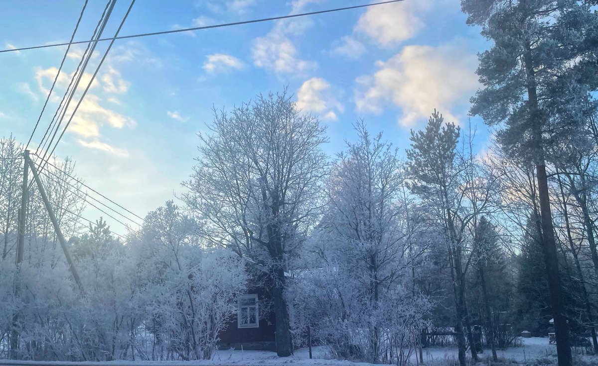 HelenaMalaska's tweet photo. Talvi tuli Etelään … #uusimaa #talvi https://t.co/qymfwUkOnT