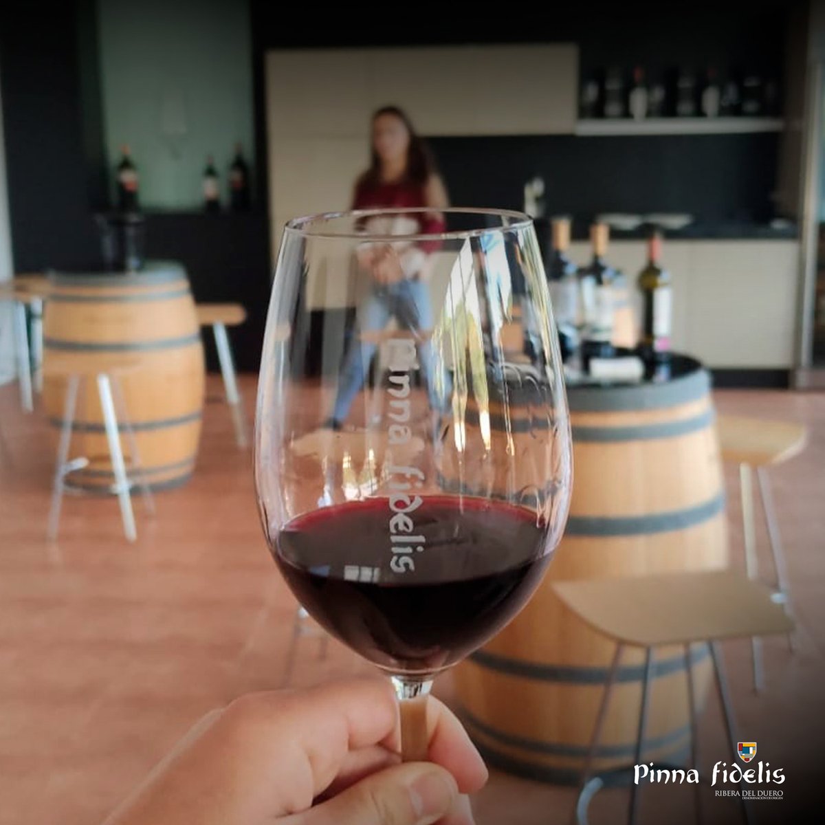 Bodega Pinna fidelis tweet media