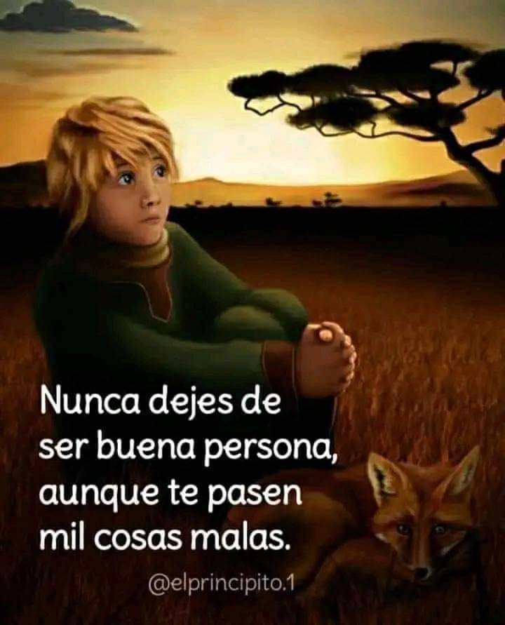 VidaEquilibrada (@vidaequilibrad4) on Twitter photo 