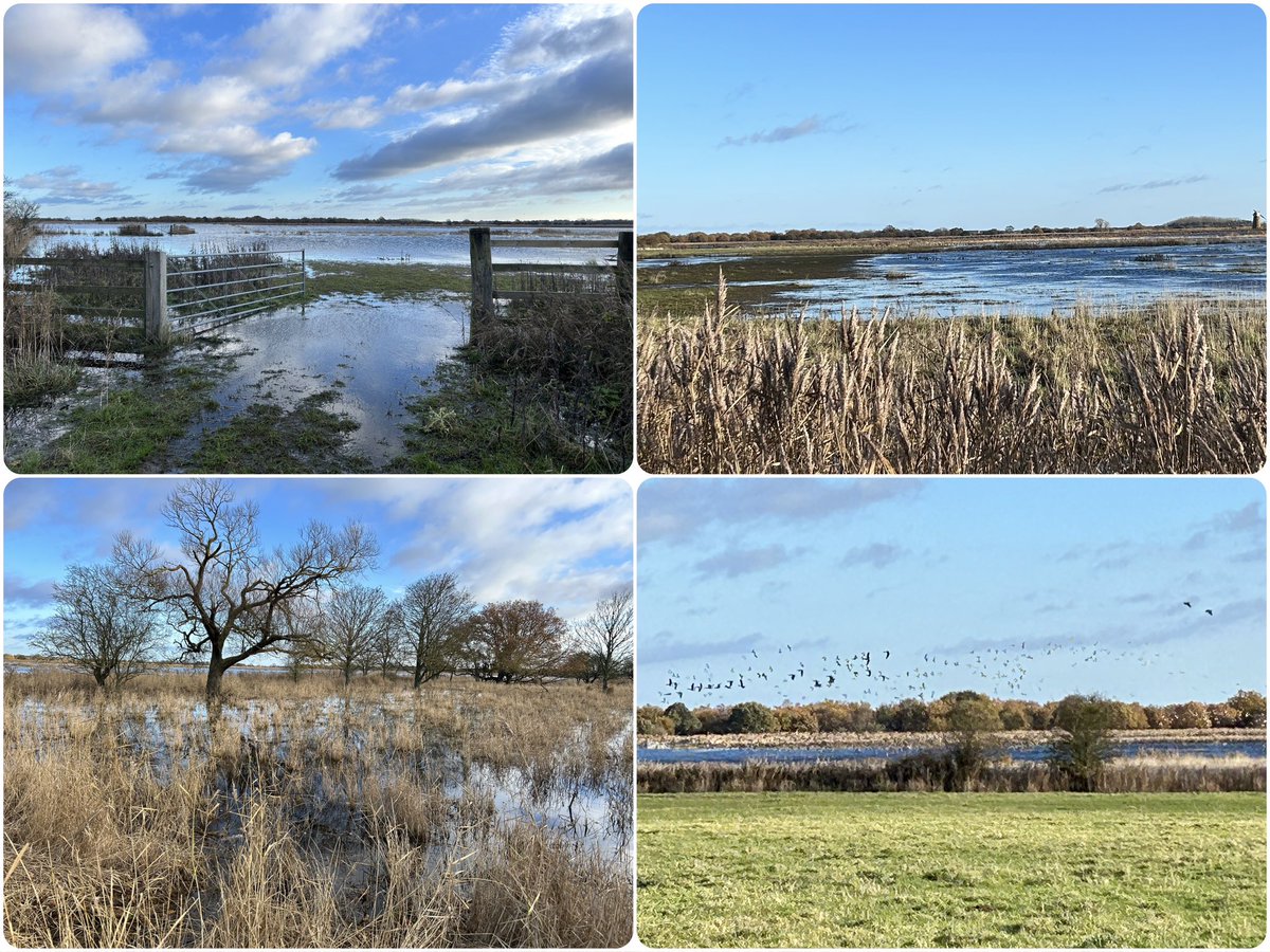 Graham White tweet media