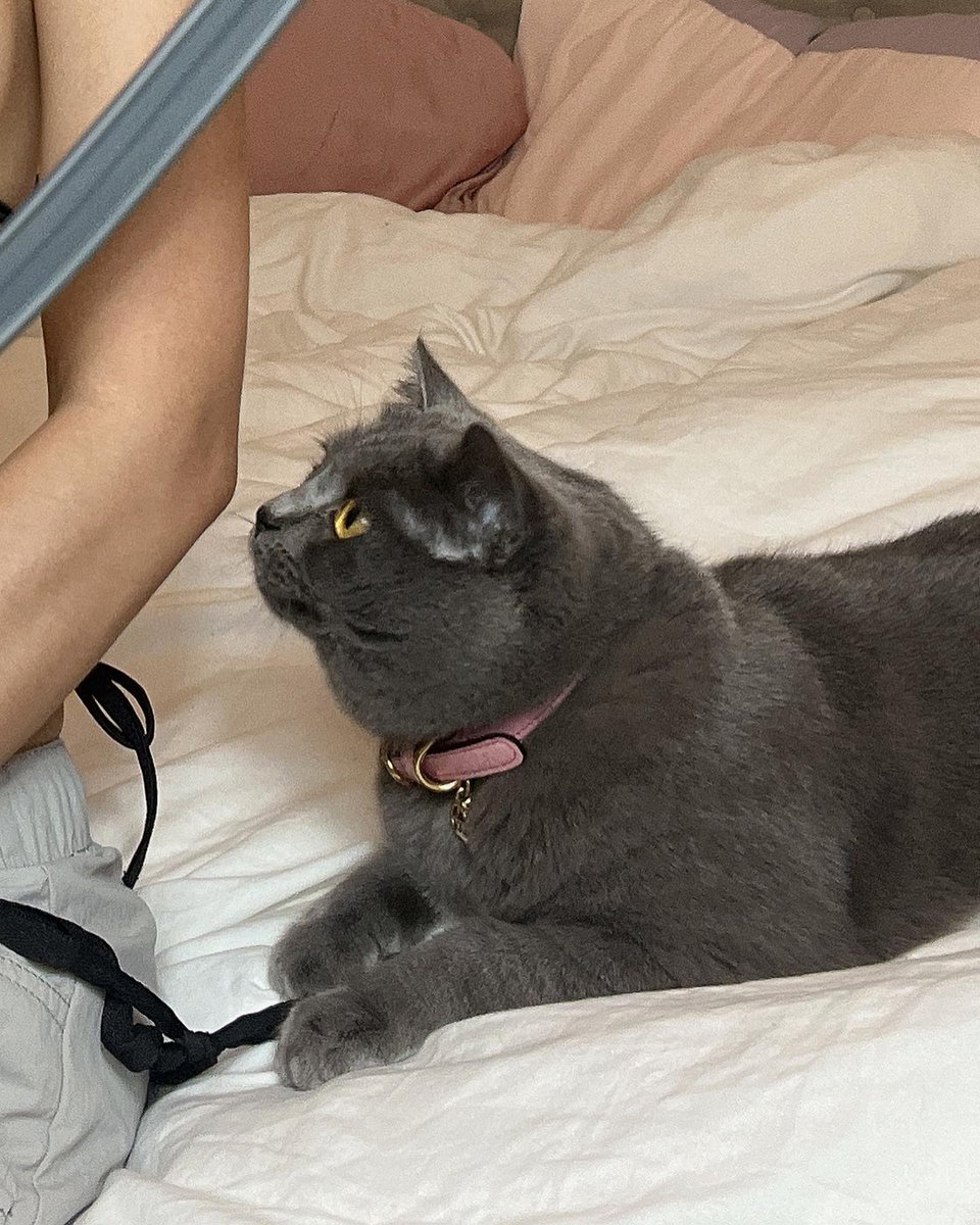 coster intermediation vocalisation vanillin
Bạn có đam mê cho việc giúp đỡ người khác và tham gia vào các hoạt động từ thiện? Hãy để tôi là người bạn đồng hành.