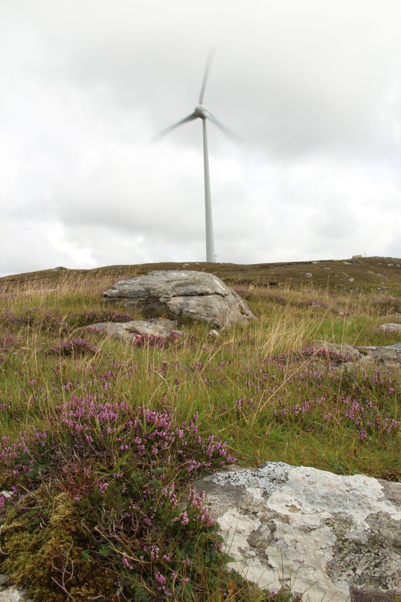 Islands are at the forefront of #energytransition  challenges, from infrastructure hurdles to high energy poverty rates. 🏝️ Our upcoming webinar will delve into these issues and discuss innovative solutions for sustainable energy transition🏄‍♂️
Register now👉t.ly/ecb8S