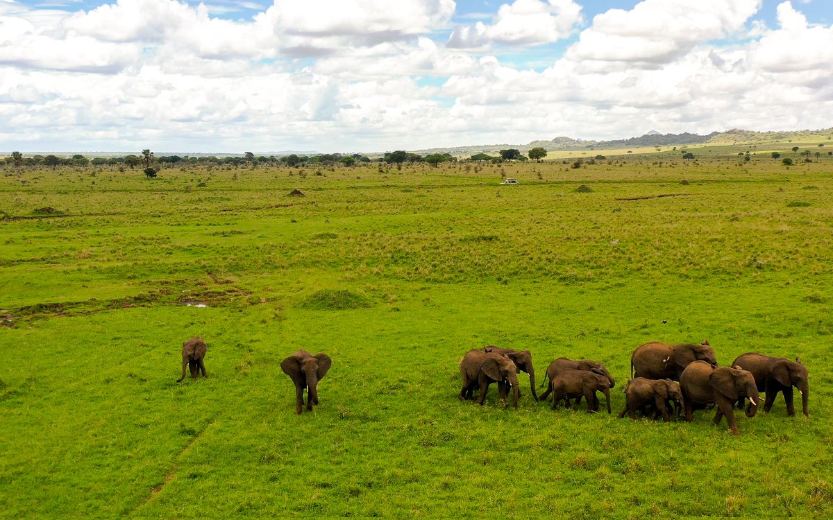 ugandauncovered's tweet photo. Embark on a lavish wildlife safari in Uganda, where you'll discover something truly unique, an untamed, wild, natural, and extraordinary experience.

📸 Courtesy
#ExploreUganda https://t.co/10v1ej9xKf