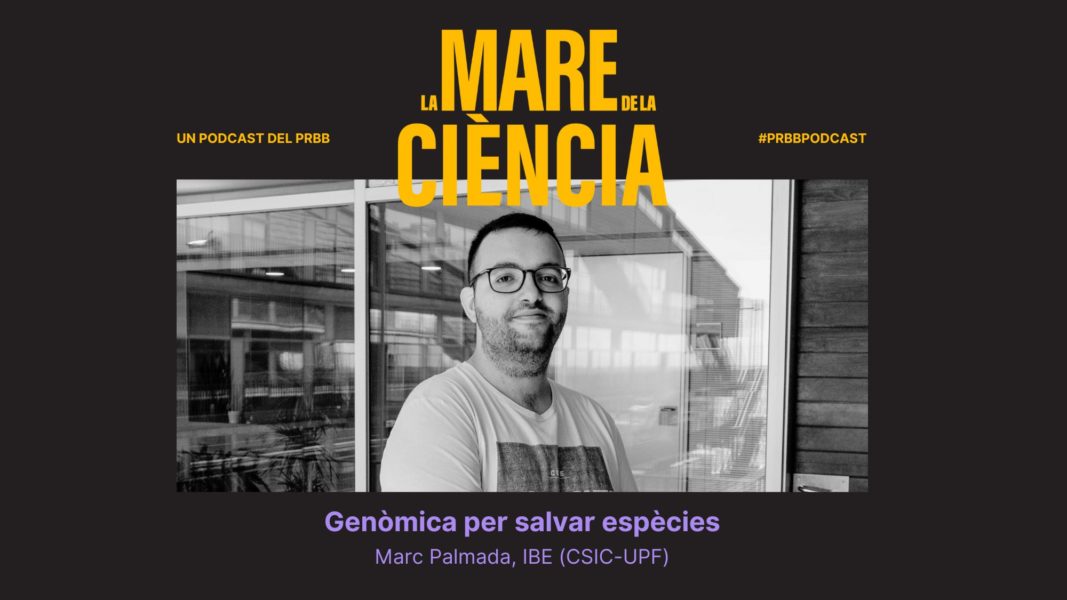 the_prbb's tweet photo. 💬 “No té sentit fer ciència sense aportar res a la societat” - @PalmadaMarc (@IBE_Barcelona)
Si et vas perdre el segon episodi de la tercera temporada de #LMDLC, al #PRBBEllipse t'expliquem qui és el seu protagonista.
🔗 https://t.co/RHm2fS231H https://t.co/KbmsEIziYl