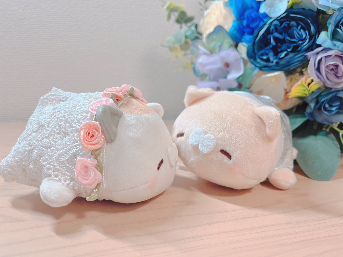 Pochitomorii's tweet photo. 大好きなぽちさん(@pochi_line )の ミケクリちゃん達と一緒にフォトウェディングしてきました☺️
撮影NGだったので一緒に写ったものはデータ待ちなのですが…
おめかししたぬいちゃん見てくださーい！\( ˙꒳​˙  \三/ ˙꒳​˙)/

 #となりのにゃんこ
 #ミケクリ
 #ぽち友さんとつながりたい https://t.co/aF2urGsmjR