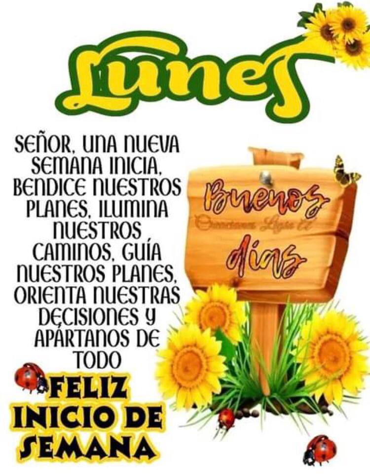 opoama's tweet photo. @MarielaAlvear @GabrielCodecid1 https://t.co/VlQ6q3kSPe