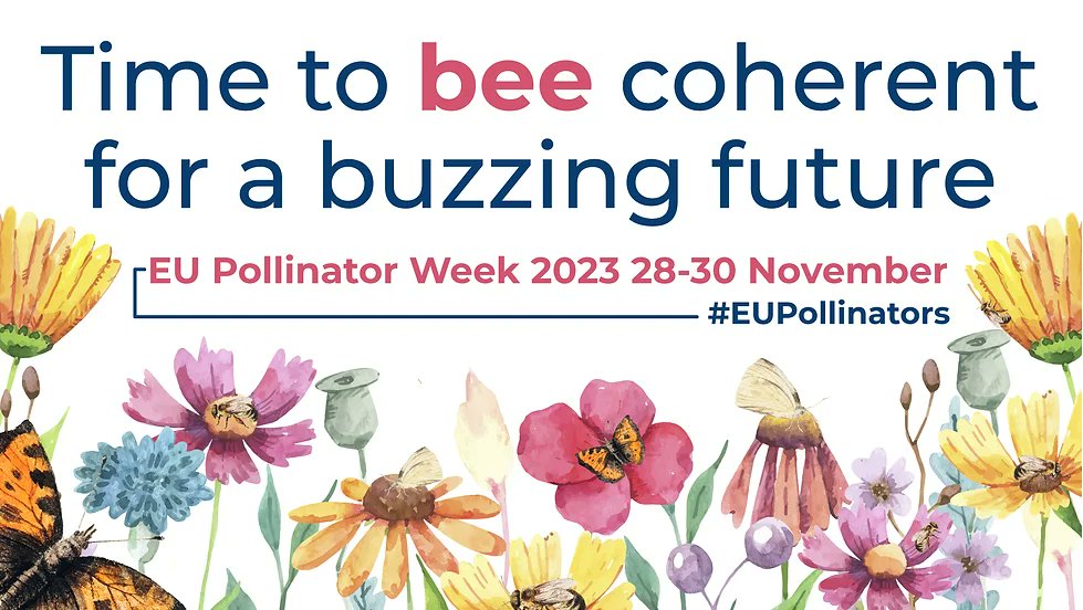 BGOOD_H2020's tweet photo. Passionate about #EUPollinators? 🦋

Join leading experts during the 2023 EU Pollinator Week for 3️⃣ days full of discussions on all things #pollinator!

⏰28-30 November 2023
Register here now ➡️ https://t.co/0a4YA0q973 https://t.co/VX5T9Rmmbc