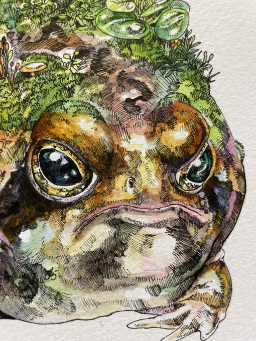 「frog painting (medium)」 illustration images(Latest)