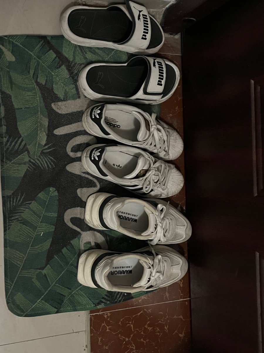 昨天去了虎牙妹的小区，没什么收获，人压根没把鞋架放出来，灯也没亮，扫了一下其他楼层也没啥特别的收获，主要是爬楼太麻烦，没一会儿就走了。