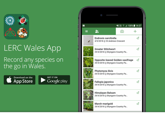 wwbic1's tweet photo. Download our #LERCWalesApp and start recording your wildlife sightings.
#wildlifeconservation #LERCWales #wwbic #naturelovers #biodiversity #recording https://t.co/73lp3fnraj