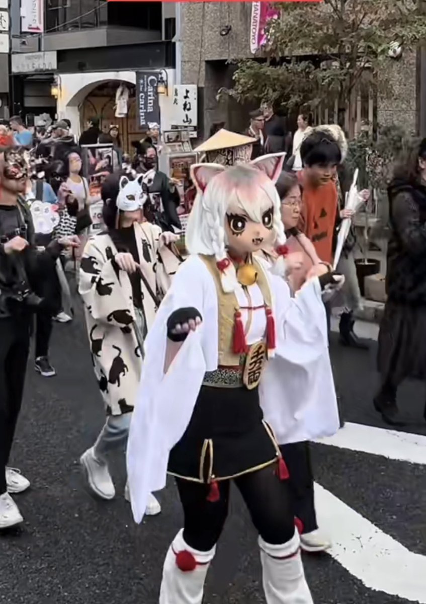 catabuserschina's tweet photo. In #China, people adopt #cats with the intention to disembowel them. In #Japan, there is a #catfestival occurring. Why is there a discrepancy with respect towards animal life? #bakeneko https://t.co/iUDUPb5EVh
