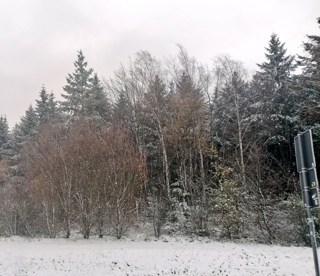 HeikoBrenn's tweet photo. Winter Wonderland on the way to #ESPC23.  #ScriptRunnerOnTour https://t.co/SZ8HVnVcTK