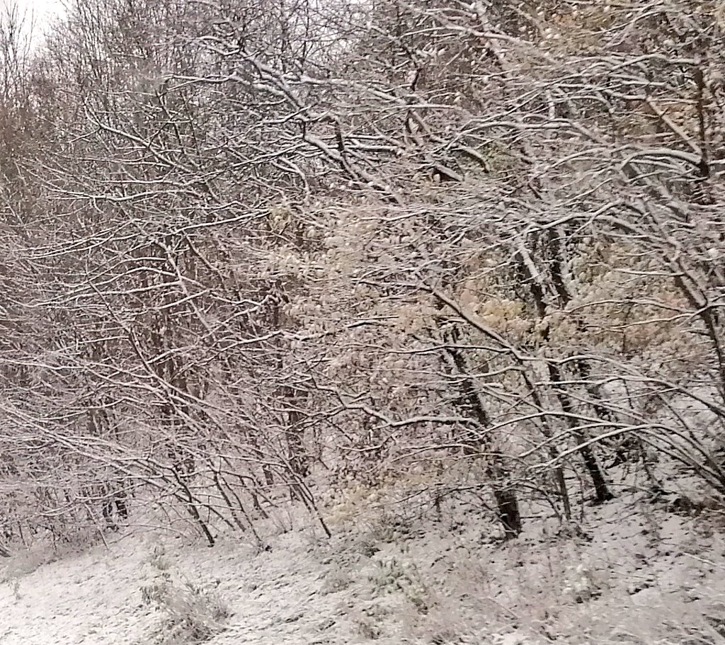 HeikoBrenn's tweet photo. Winter Wonderland on the way to #ESPC23.  #ScriptRunnerOnTour https://t.co/SZ8HVnVcTK