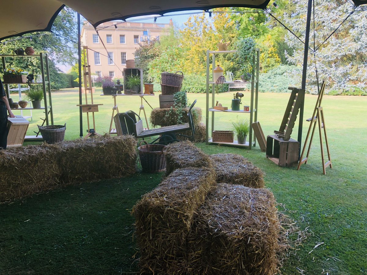 pat havers tweet media