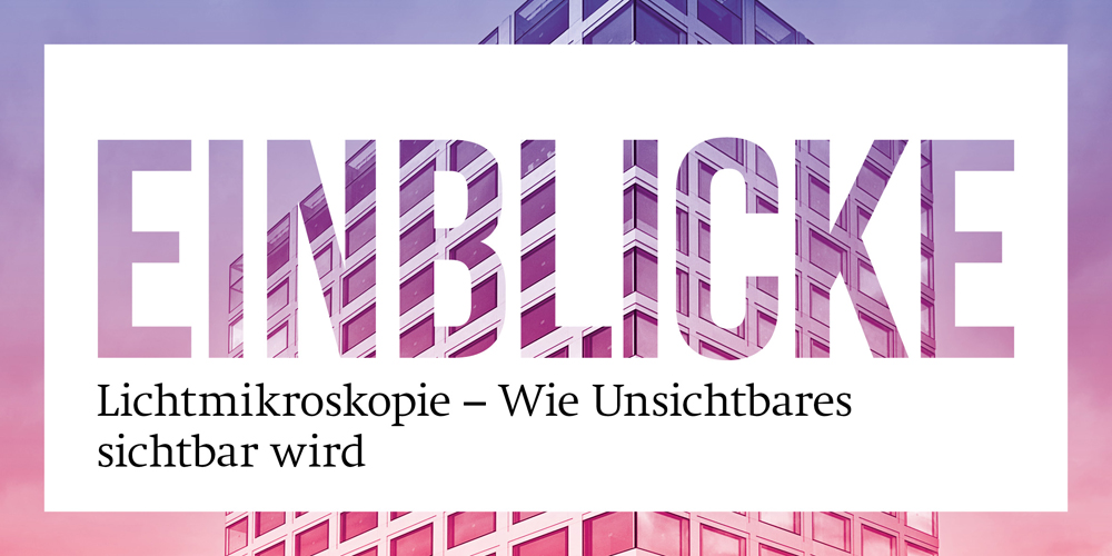 biozentrum's tweet image. Modern light microscopy gives us fascinating insights into the world of cells.
Learn more about cutting-edge microscopy and join our next #EinblickeBiozentrum by Oliver Biehlmaier @imcf_basel @biozentrum Dec. 12, 7 pm. ow.ly/yzou50PTNR