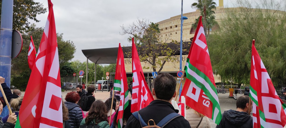 feccooand's tweet photo. Hoy nos concentramos en Torre Triana en defensa de los derechos laborales de PTIS e ILSE  para que @EducaAnd, @Patricia_Pozo_ y todo el Gob. de @AndaluciaJunta se enteren de una vez que son cómplices de la precariedad de estas trabajadoras. https://t.co/TEBbPLb0Qy