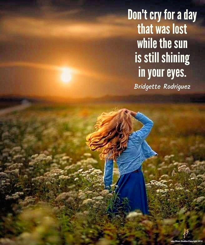 Don't cry for a day that was lost while the sun is still shining in your eyes. ~ Bridgette Rodriguez (c)2012 (#quote only)

#quotes #quotestoinspire #quoteoftheday #quotestoliveby #life #motivation #carpediem #seizetheday #opportunity #photooftheday #photography