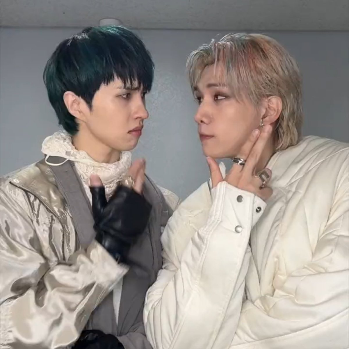 dyorkside's tweet image. my pookiesss💗💞💘💕💓