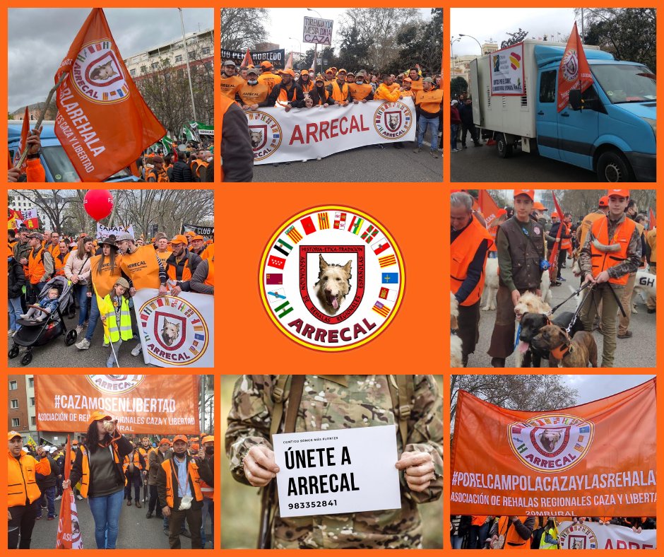 ARRECAL es la asociación rehalera que nunca se rinde. 
Somos los que siempre damos la cara. Los que luchamos hasta la extenuación por el futuro de la caza y de la rehala. 💪

¿Te vienes? Súmate y forma parte de nuestra #mareanaranja 🧡