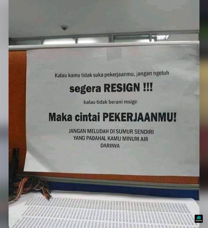 WORK tweet media