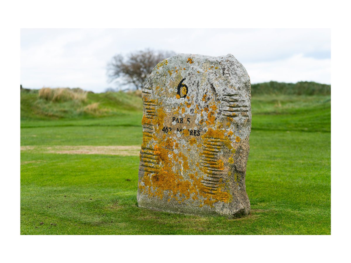 Breaking Par: The Quest tweet media