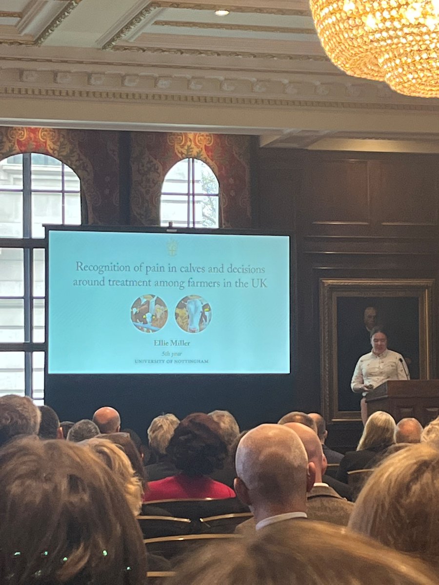 Royal College of Veterinary Surgeons (@thercvs) on Twitter photo Our third & final Fellows of the Future presentation at RCVS #FellowshipDay 2023 is from Ellie Miller <a href="/NottinghamVets/">University of Nottingham Vet School</a> on the recognition of pain in calves & decisions around treatment among farmers in the UK. Our third & final Fellows of the Future presentation at RCVS #FellowshipDay 2023 is from Ellie Miller <a href="/NottinghamVets/">University of Nottingham Vet School</a> on the recognition of pain in calves & decisions around treatment among farmers in the UK.