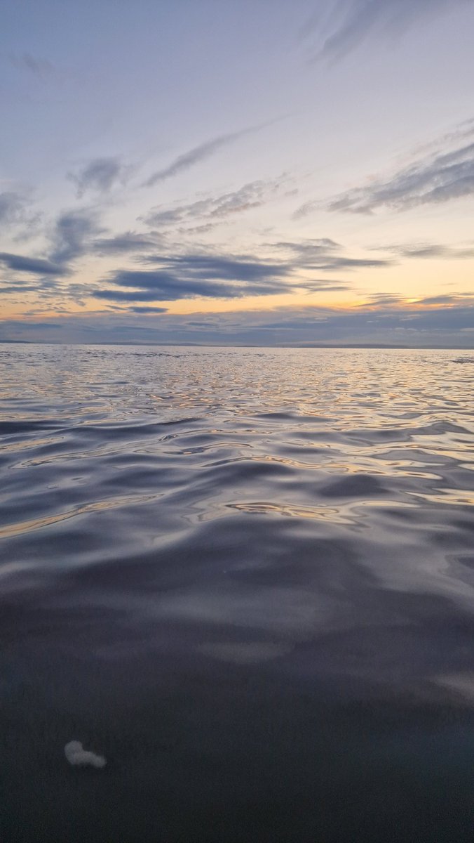 Back to sea swim content 🌊
Today ft. <a href="/zoejohnson__/">Zoe Johnson</a>