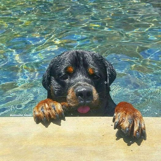 Great Photographs😍