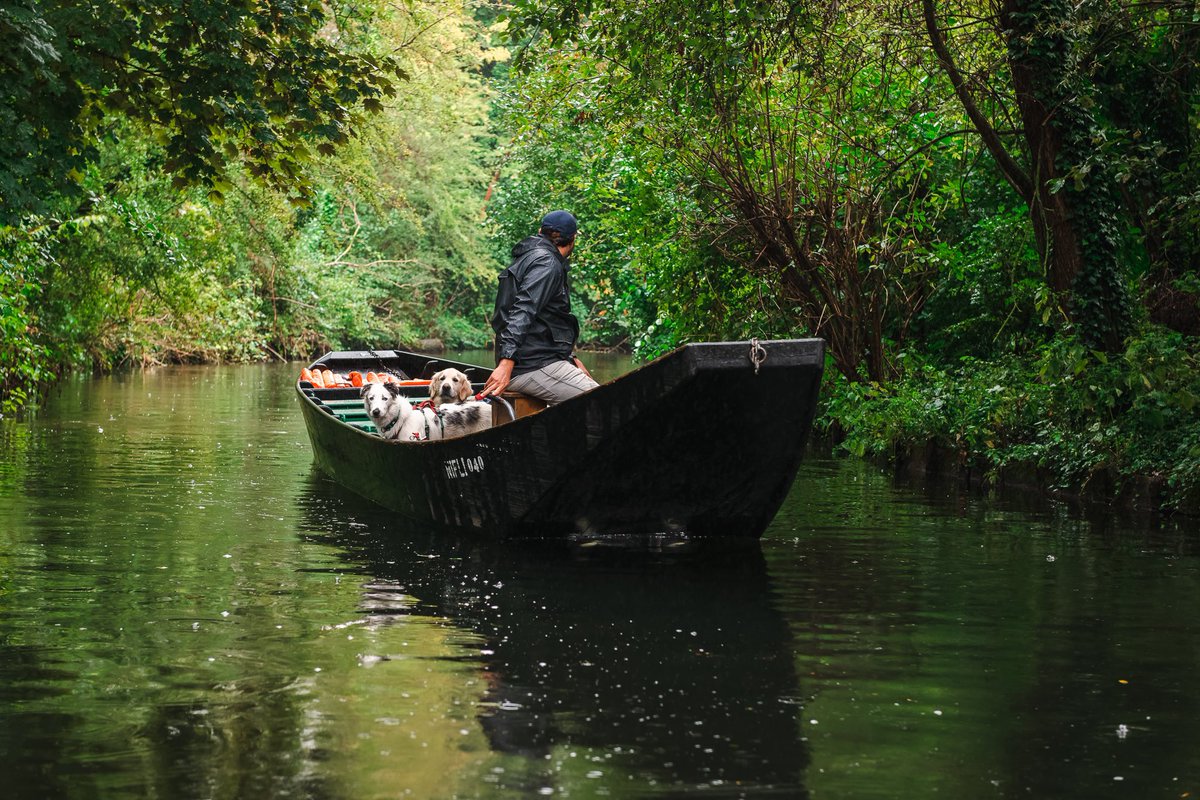 itinera_magica's tweet photo. Énorme coup de foudre pour les hortillonnages d’#Amiens. Édifiés au Moyen-Âge, ces jardins au milieu de l’eau sont un incroyable labyrinthe aquatique en pleine ville. Accessible en barque traditionnelle, avec nos chiens !
#MagnifiqueFrance #hautetfort
📷 @Foehn_Photo https://t.co/ewNFOImmVK