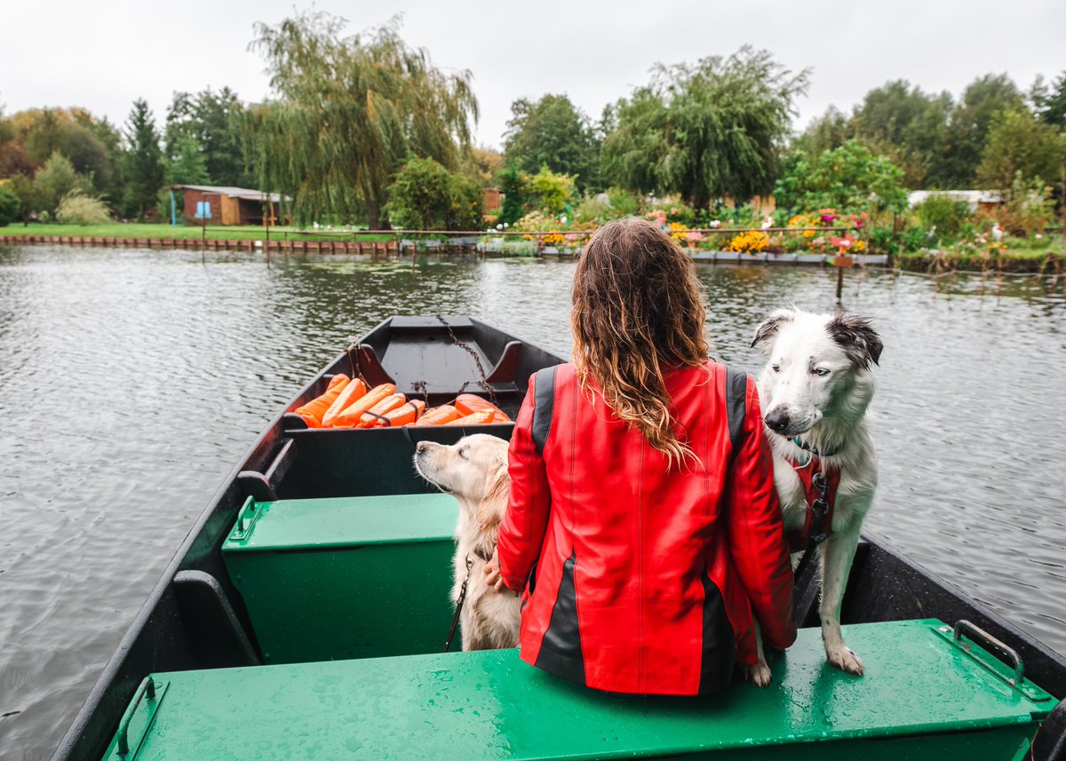 itinera_magica's tweet photo. Énorme coup de foudre pour les hortillonnages d’#Amiens. Édifiés au Moyen-Âge, ces jardins au milieu de l’eau sont un incroyable labyrinthe aquatique en pleine ville. Accessible en barque traditionnelle, avec nos chiens !
#MagnifiqueFrance #hautetfort
📷 @Foehn_Photo https://t.co/ewNFOImmVK