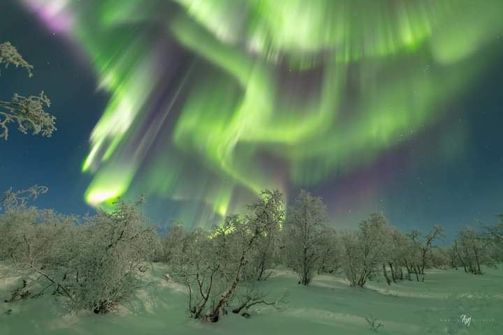 Ryansikorski10's tweet photo. Amazing Auroras in 🇫🇮 Finland 🔥🫡 https://t.co/DbG5Y1jG8r
