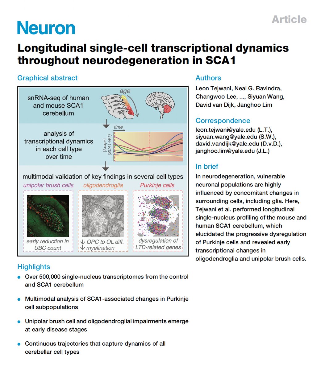 This year, we are thankful for the immense work that @LeonTejwani, @chchrislee, and others in the lab contributed to our latest publication out today in @NeuroCellPress 👏🎉 Thanks to our collaborators @SStevenWang & @david_van_dijk! @YaleNeuro @Yale_INP @YaleRNA @YaleGenetics