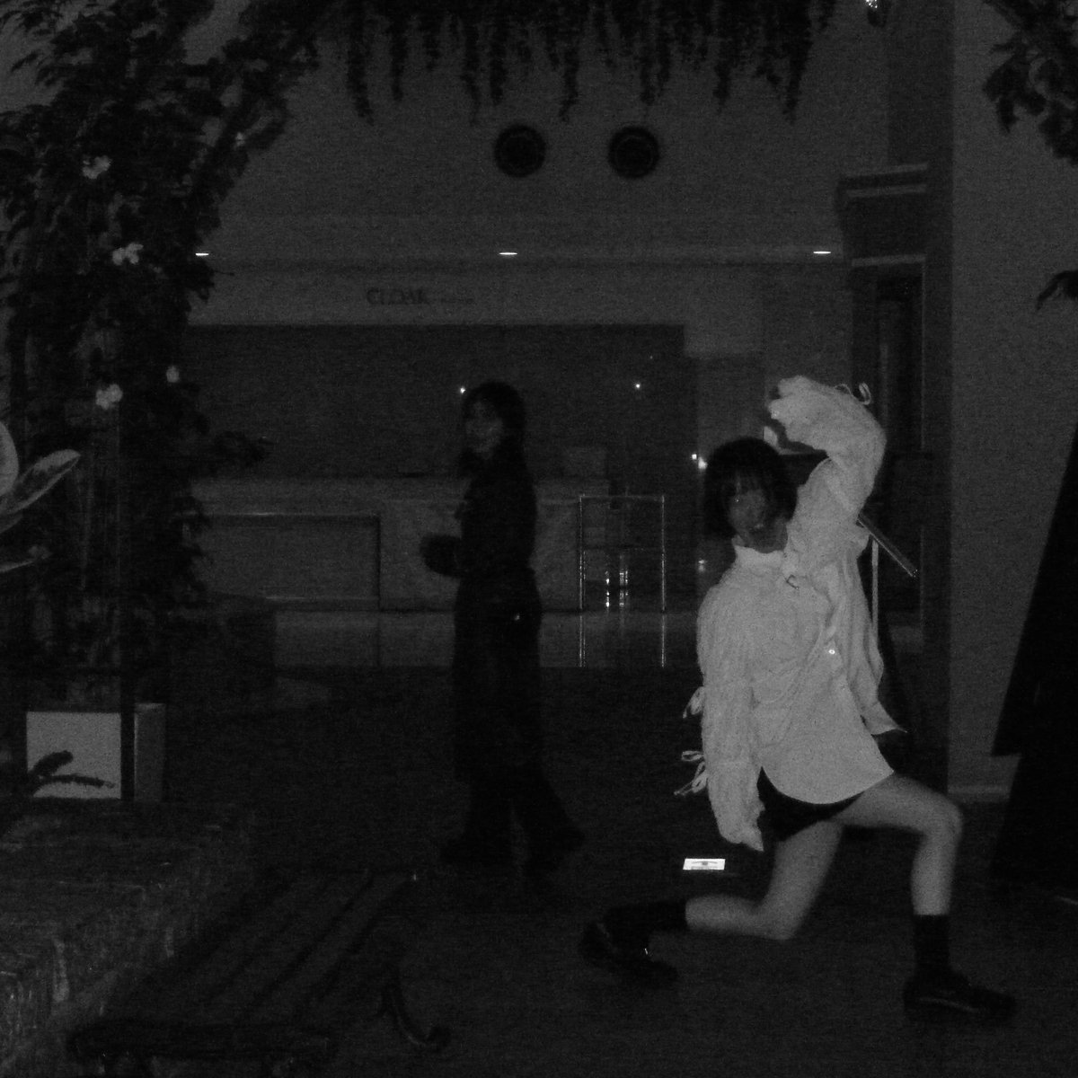 Velvet Fall tweet media