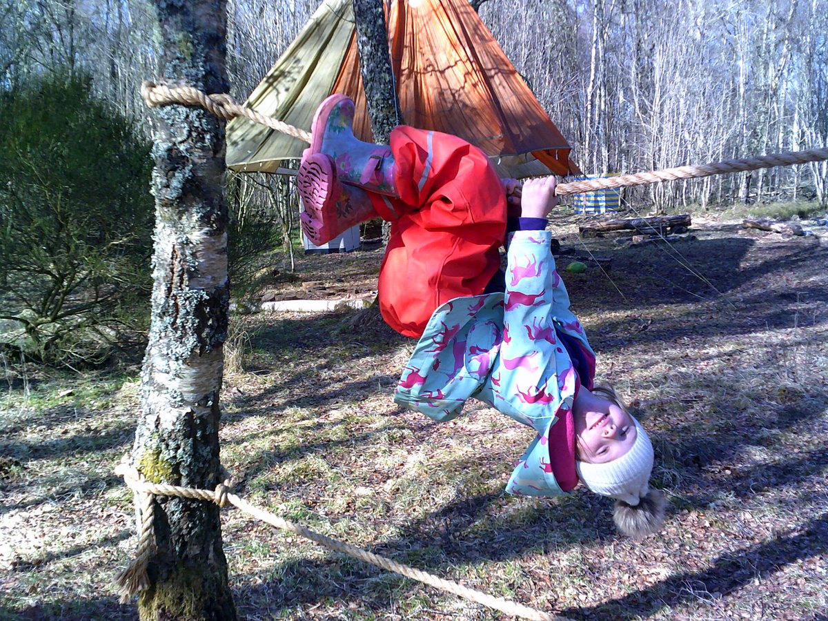 Care Inspectorate tweet media