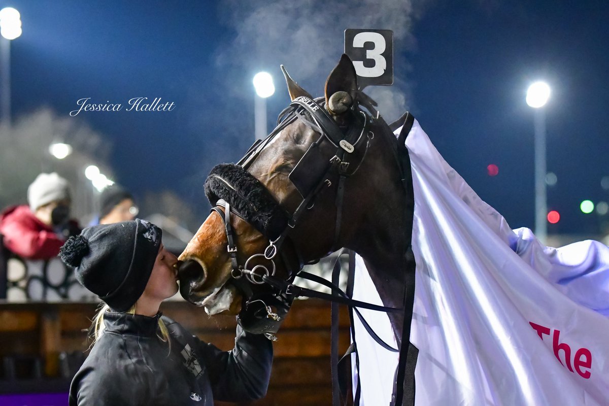 JHallettPhoto's tweet photo. For the love of the horse https://t.co/kRUfzxe6Ax