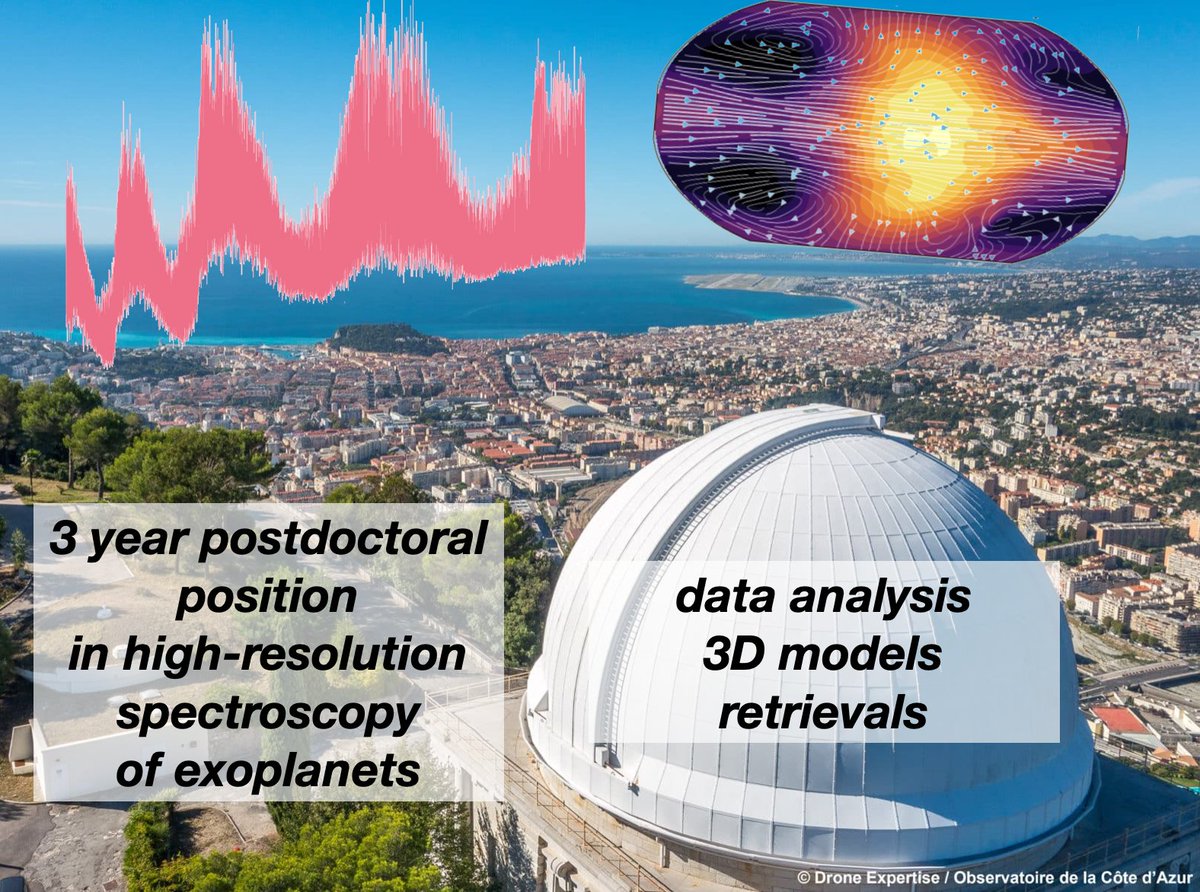 Vivien Parmentier tweet media