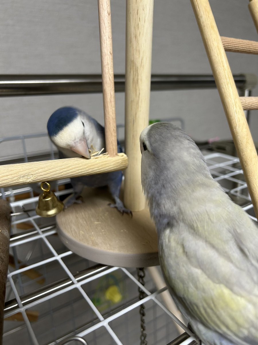 새 놀이터 삼매경