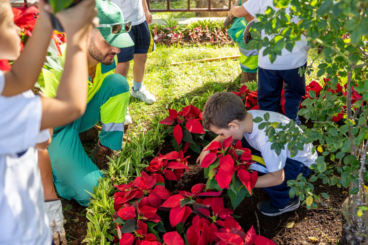 GRUPO RAGA tweet media