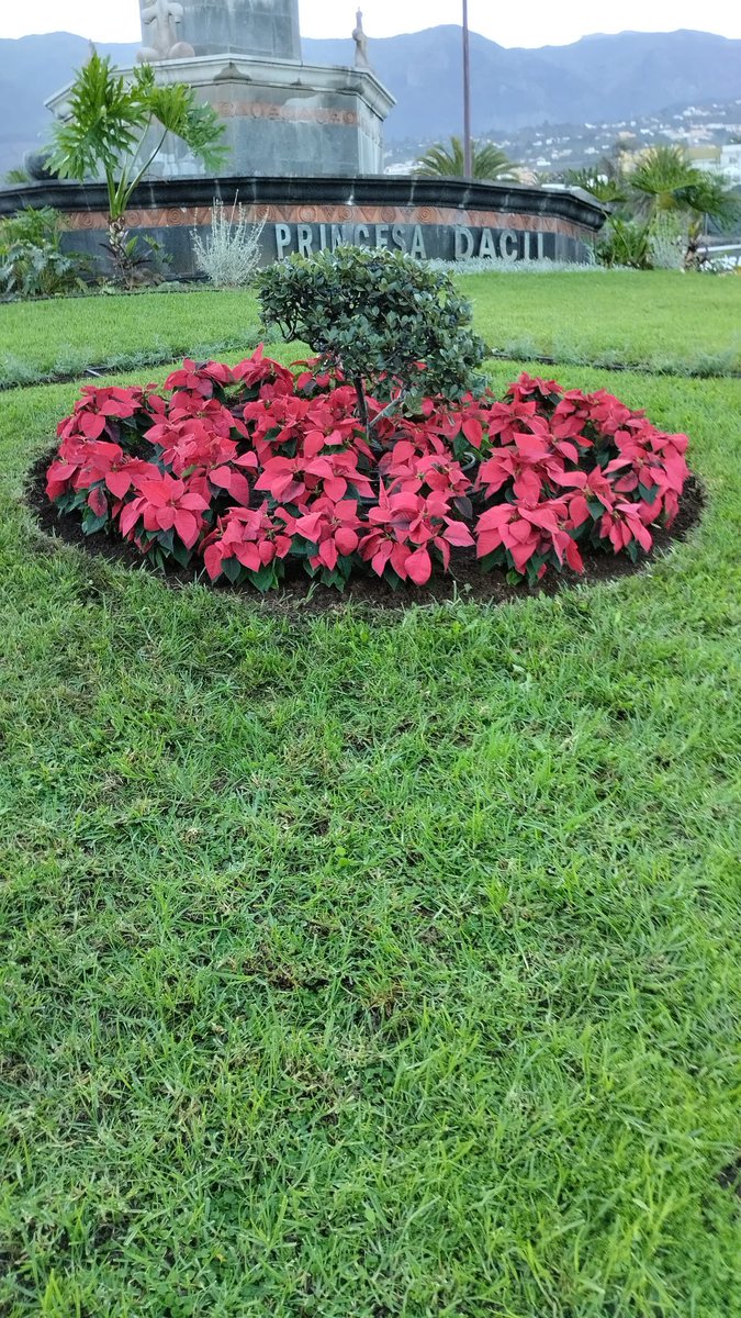 GRUPO RAGA tweet media