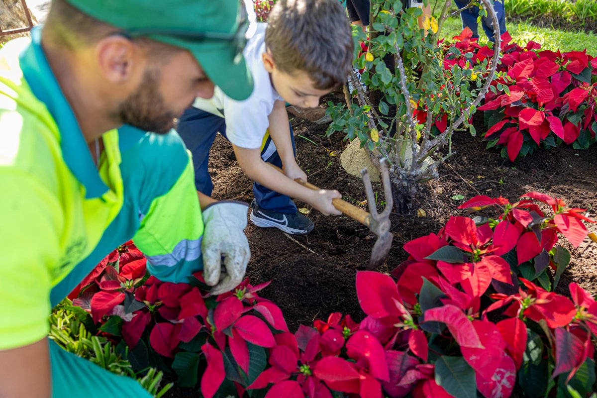 GRUPO RAGA tweet media