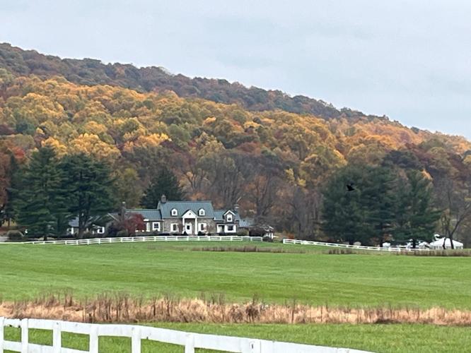 DMuchowAuthor's tweet photo. Heigh Torr: Where dreams not only begin, but continue | Journal-news | https://t.co/aEbE1SiKvC 
https://t.co/GsMtaHZ3MO 
Heigh Torr, a 178-acre property in Western Loudoun County 
#Virginia #Wedding #Guest #Party #Tranquil #Beauty https://t.co/rW0BWhLUOR