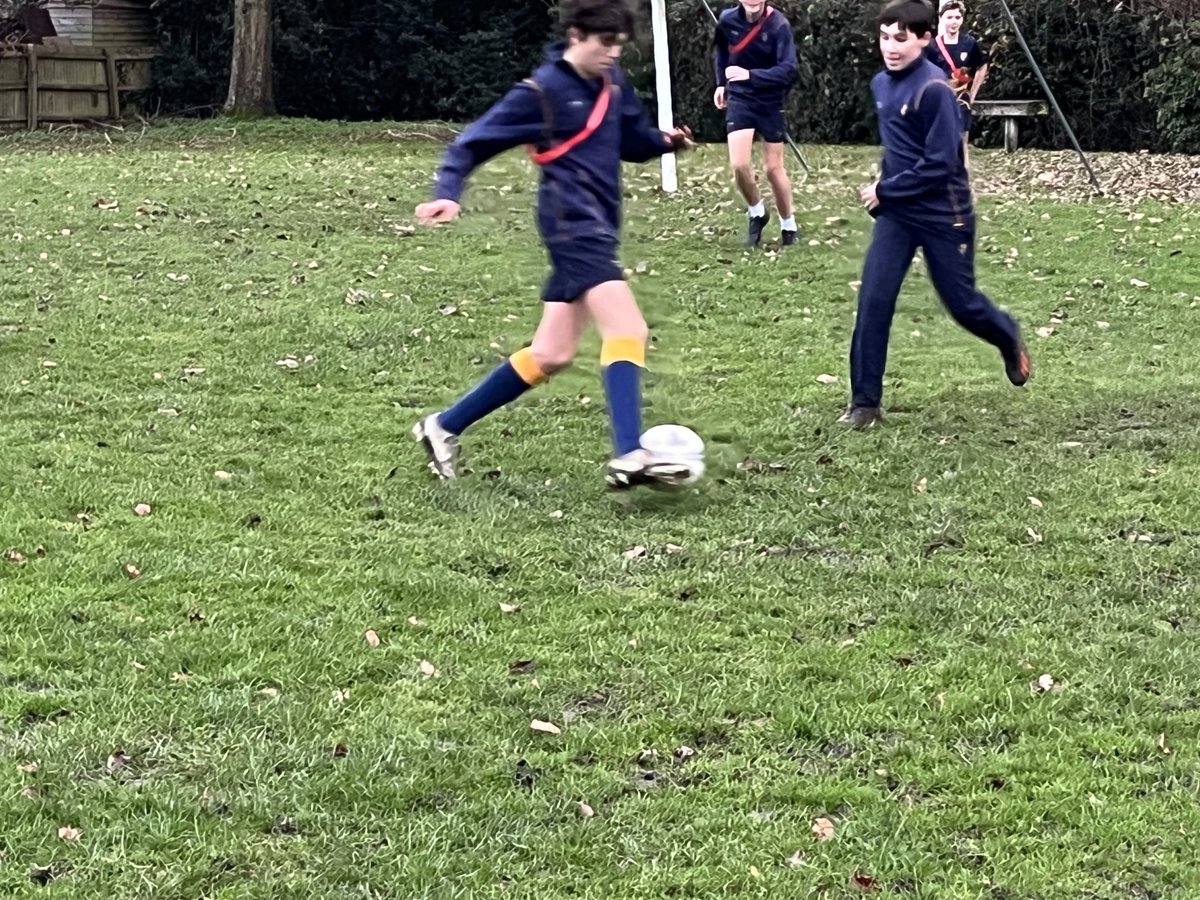 Warminster Languages tweet media