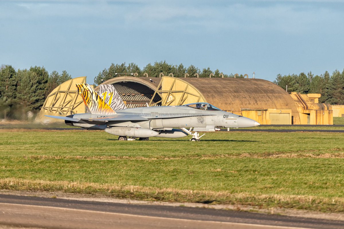WarbirdAv's tweet photo. Tiger in the grass. Swiss Air Force McDonnell Douglas F/A-18C Hornet J-5011 from Fliegerstaffel 11 with the squadron's Tiger markings on its two vertical stabilisers. Exercise Yorknite @ RAF Leeming. 

https://t.co/VvLwg0j81k https://t.co/l55Il9G4zg