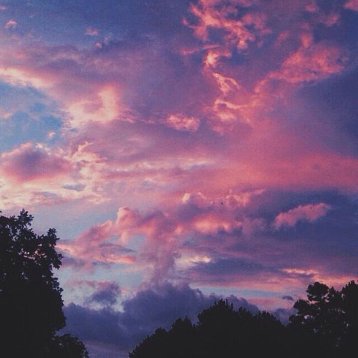 violet✧*｡ tweet media