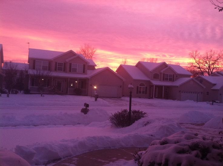 violet✧*｡ tweet media